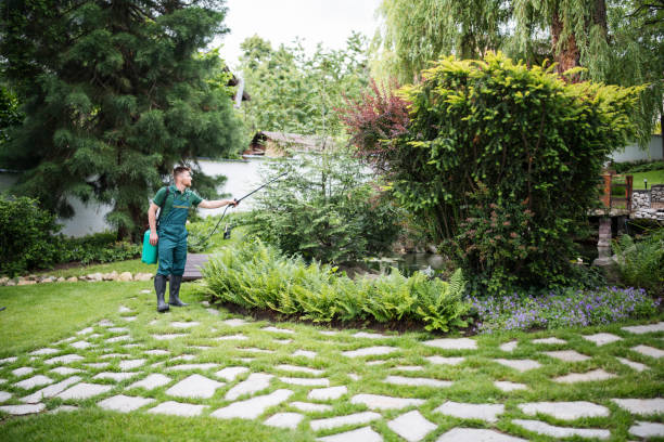 Best Pest Control Near Me  in Pike Creek, DE