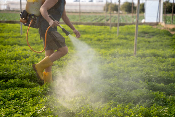 Best Best Pest Control Companies  in Pike Creek, DE